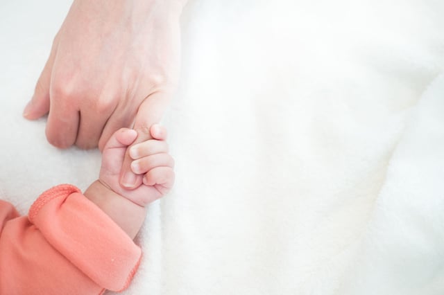 AdobeStock_195698920 (2)